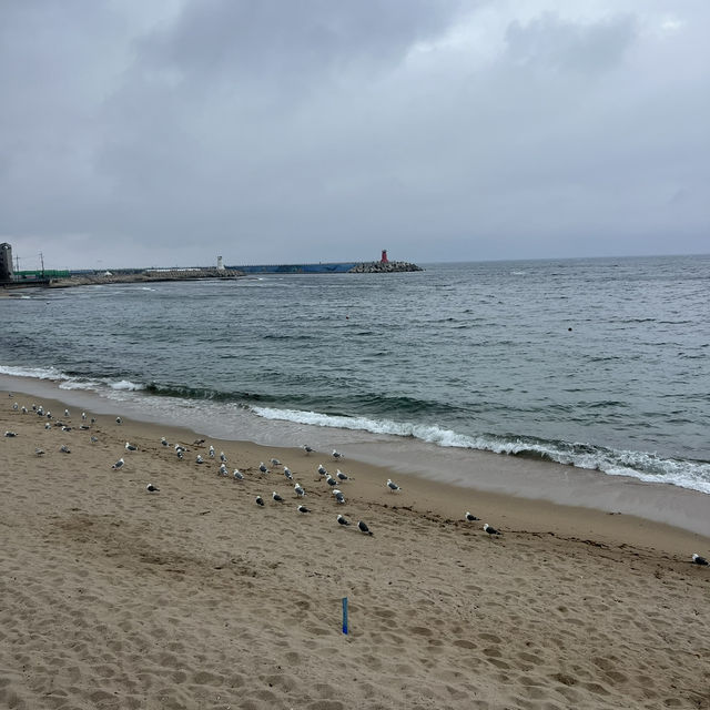 고성 청간해변