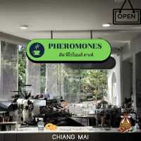 🔰Af Pheromones Cafe | อัฟฟีโรโมนส์ คาเฟ่