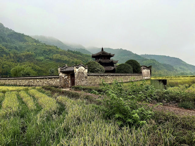 風，吹到了廣渡