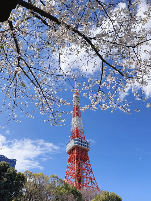 The Long-Awaited Sunny Day is Here!
