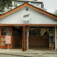 A Feast of Flavors at Lapo Joho HQ
