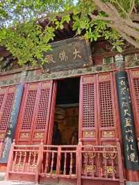 洛陽必遊的白馬寺