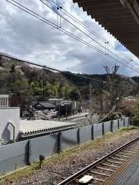 Cherry Blossoms, Tengu Legends & Scenic Trails – Springtime Magic on Mount Takao!