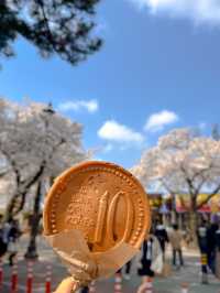 Gyeongju:The Ultimate Spring Destination 