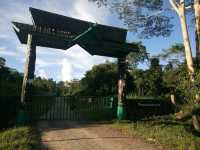 🦧 Tabin Wildlife Reserve: Where the Wild Things *Really* Are! 🌿