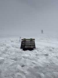 【北海道・旭川】旭岳ロープウェイで大雪山の大自然を体感しよう