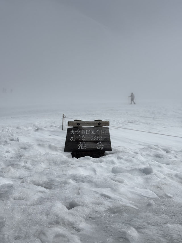 【北海道・旭川】旭岳ロープウェイで大雪山の大自然を体感しよう