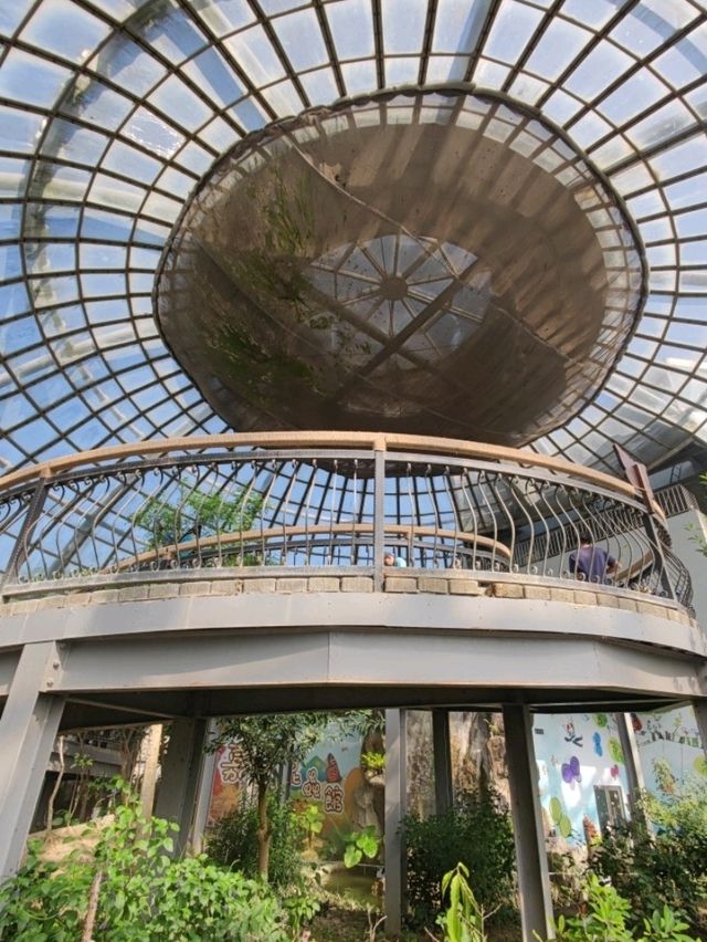 臺版濱灣花園#嘉大植物園-嘉義市東區