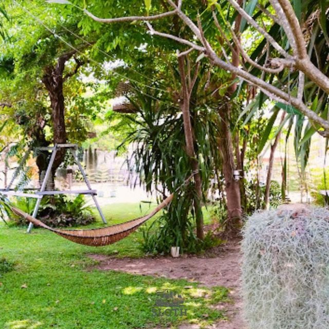 🌳 เเพียงธารา คาเฟ่ แอนด์ รีสอร์ท