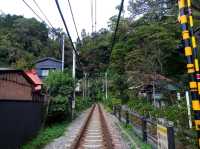 【鎌倉】鳥居の前を電車が横切る🚃御霊神社