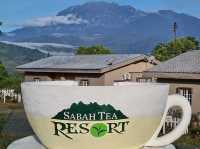 🌿✨ "Sabah Tea Resort: A Misty, Magical Escape in Borneo’s Tea Paradise!" ✨🌿  