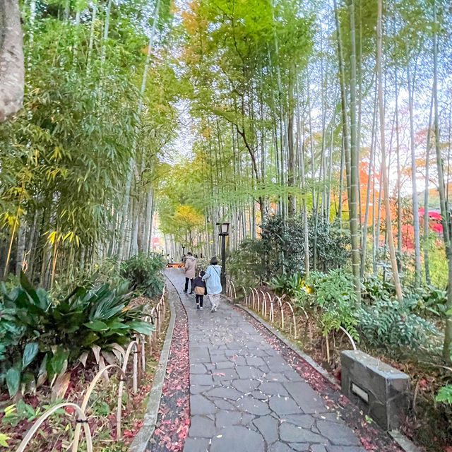 【静岡】伊豆の小京都と呼ばれる景色がみれる「修善寺」