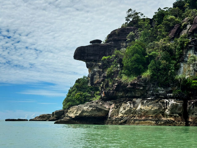 Whispers of the Wild: Sharing Thoughts After an Unforgettable Journey to Bako National Park