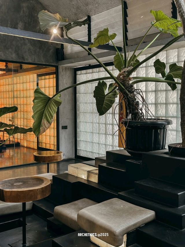 tanata coffee