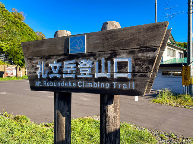 島のてっぺんへ！礼文岳から絶景と花畑トレッキング