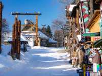 冬のアイヌコタンで雪景色を楽しむ❄️🪶