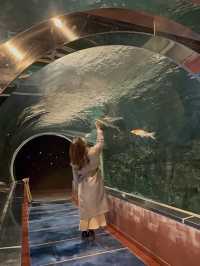 水と自然を満喫できる「道の駅 みなかみ水紀行館」—家族で楽しめる体験型スポット