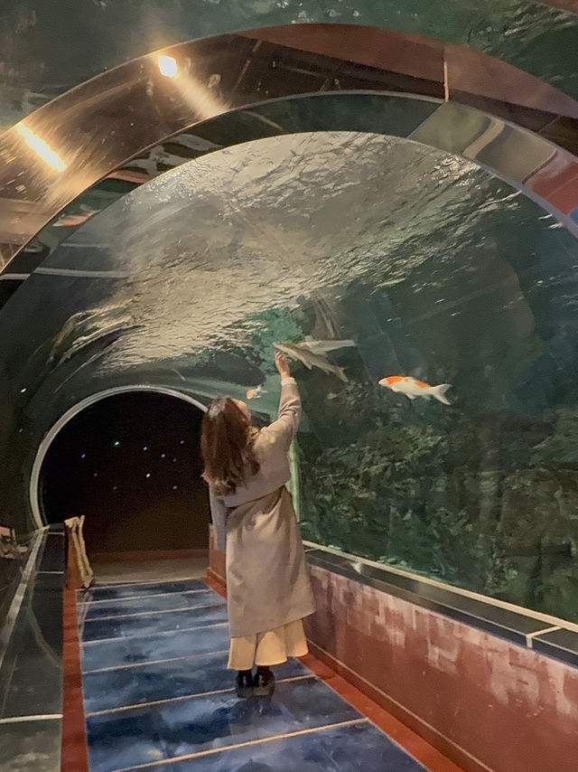 水と自然を満喫できる「道の駅 みなかみ水紀行館」—家族で楽しめる体験型スポット