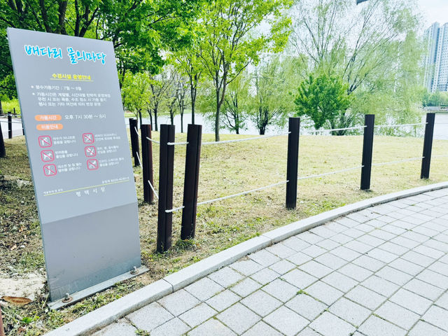 A Plaza for Every Pace