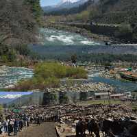 Kashmir - India 🇮🇳 ทริปแคชเมียร์แบบ 6 วัน 5 คืน