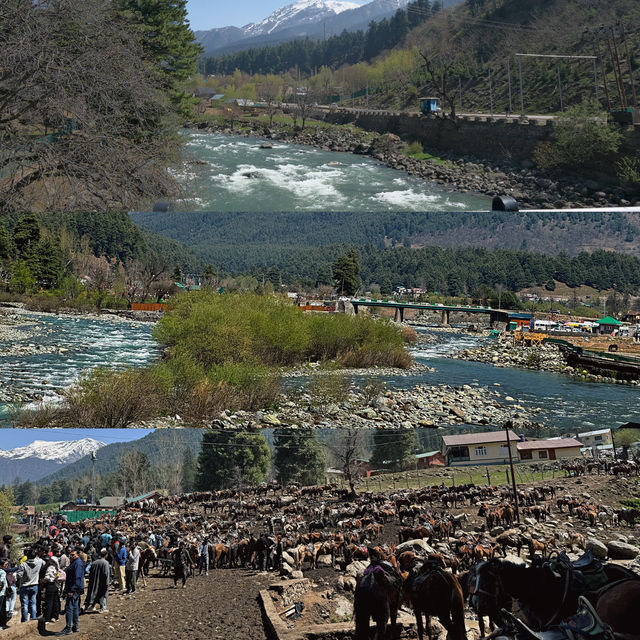 Kashmir - India 🇮🇳 ทริปแคชเมียร์แบบ 6 วัน 5 คืน