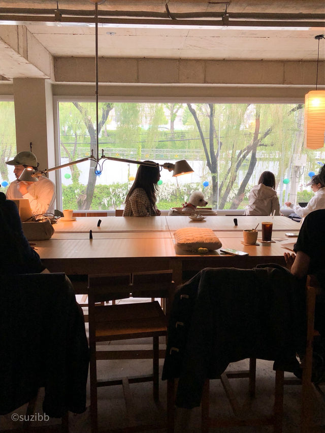 행궁동 뷰가 한눈에 보이는 통창의 신상카페 🪟🍃
