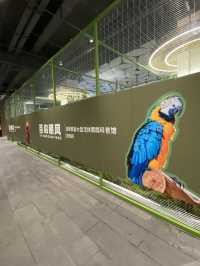 見過牠們嗎？牠們就在「巨型黑面琵鷺」所處的板田萬科廣場啊！