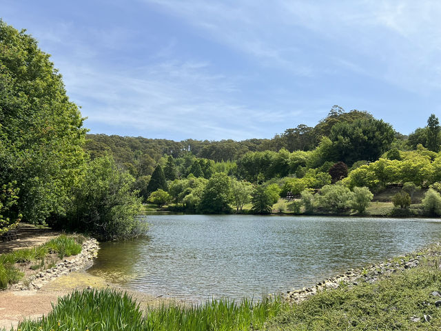 Adelaide Hills Botanic Garden: A Nature Lover’s Hidden Paradise