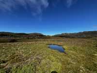 Discover the scenic view & wombats sightings at Cradle Mountain Ronny Creek walk