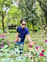 A Season of Renewal and Harmony in Dujiangyan