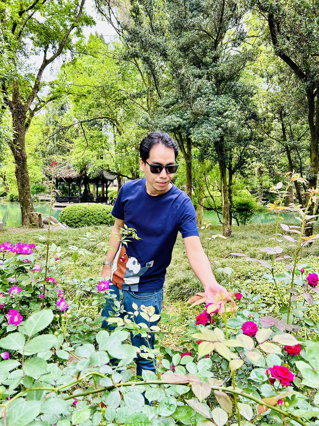 A Season of Renewal and Harmony in Dujiangyan