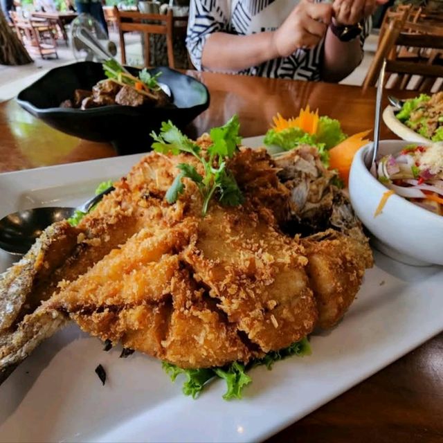 ข้าวเม่า-ข้าวฟ่าง ป่าในจินตนาการ