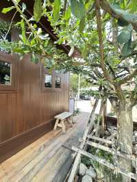 พาเที่ยวคาเฟ่ริมทุ่งนาเขียวขจีใน อ.เสนา อยุธยา