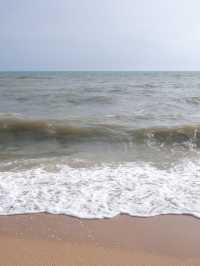 พานั่งปิคนิคริมชายหาดวอนนภา จ.ชลบุรี 🏖️