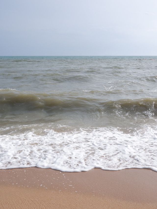 พานั่งปิคนิคริมชายหาดวอนนภา จ.ชลบุรี 🏖️