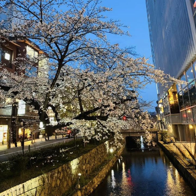 高瀨川夜櫻及名古屋西原咖啡廳果然名不虛傳