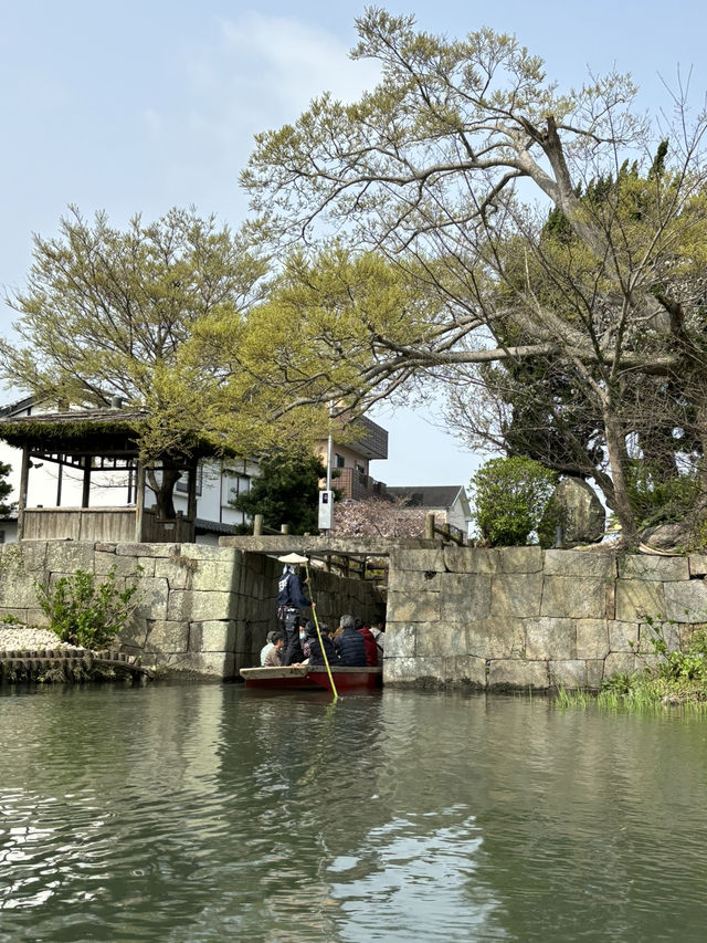 水鄉柳川觀光：悠然的船程🚤🌿