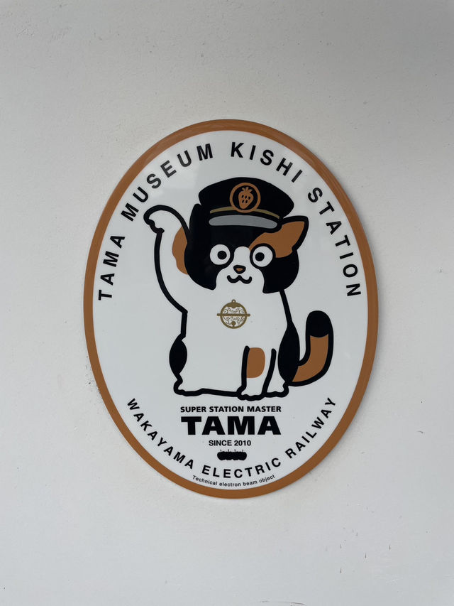 【和歌山半日遊懶人包】貴志站朝聖二代玉站長＋搭乘小玉電車、Tama Museum列車，療癒爆棚的貓咪列車之旅🐾
