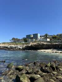 🐬 샌디에고 La Jolla Cove, 바다사자와 함께하는 해변!