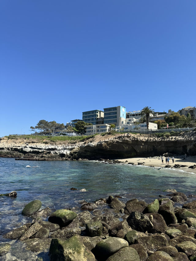 🐬 샌디에고 La Jolla Cove, 바다사자와 함께하는 해변!