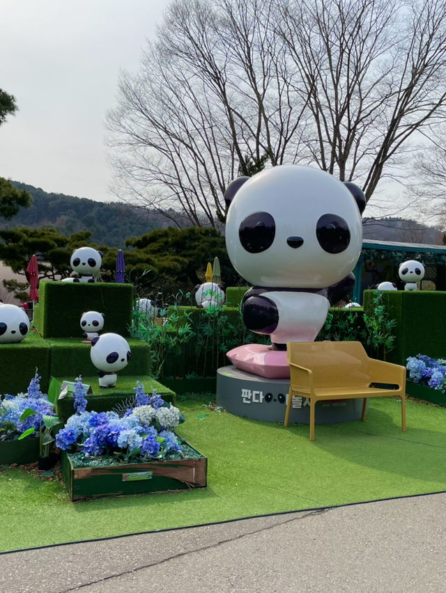🎢 에버랜드, 경기도의 짜릿한 테마파크!