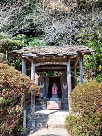 Umi Jigoku เที่ยวบ่อน้ำพุร้อน Beppu เที่ยวญี่ปุ่น