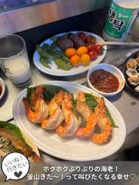 【韓国旅行】釜山の夜といえばやっぱりチャガルチ屋台通り✨️