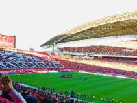 「情熱が響く、サッカーの聖地。」  〜埼玉スタジアム2002〜