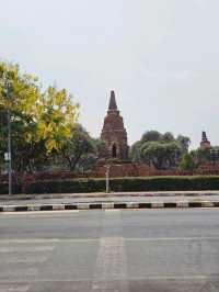 Prang View | Ayutthaya 