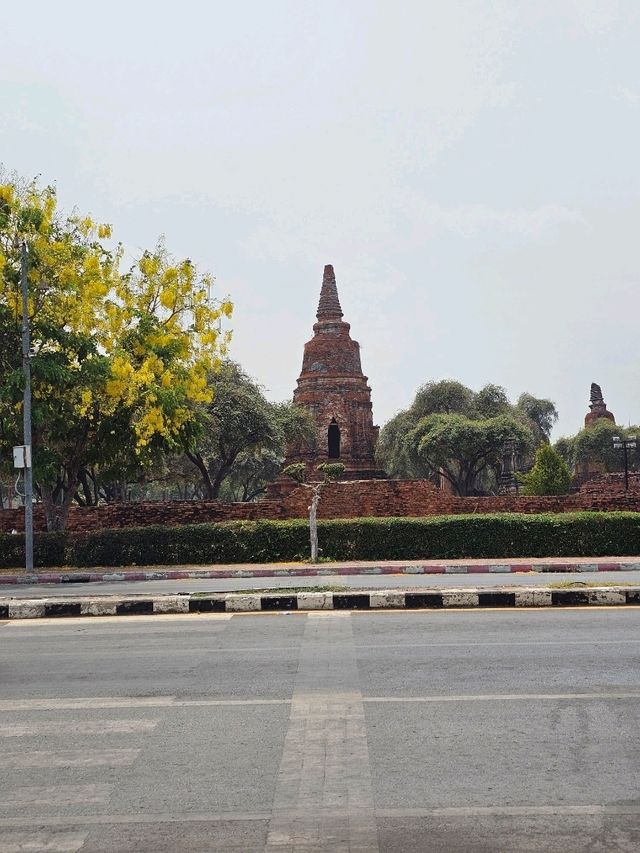 Prang View | Ayutthaya 