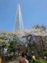 Seongnam: A Harmonious Blend of Tradition and Modernity