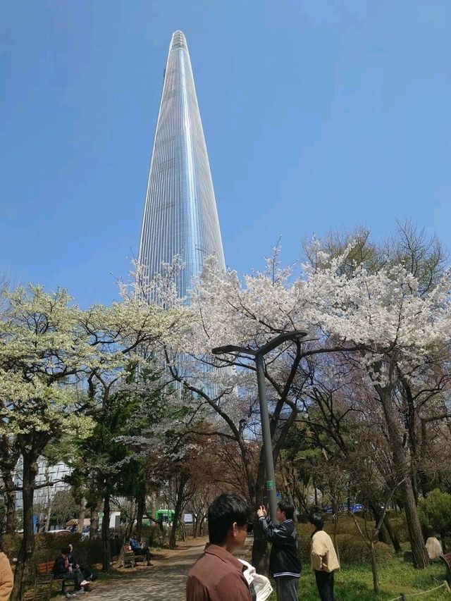 Seongnam: A Harmonious Blend of Tradition and Modernity