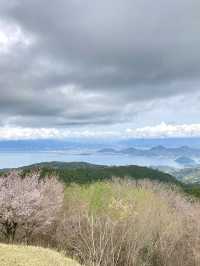 A Local Stroll Through Shuzenji – Temples, Blossoms & Comfort Food