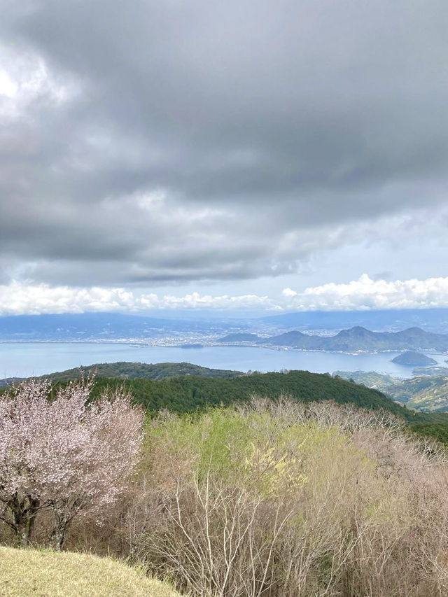 A Local Stroll Through Shuzenji – Temples, Blossoms & Comfort Food